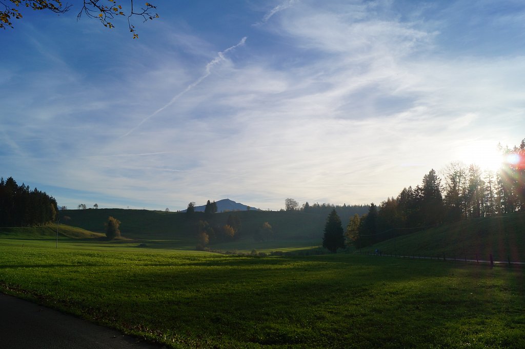 DSC07379.JPG
